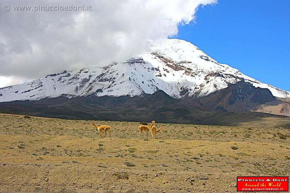 ECUADOR - Vulcano Chimborazo 6310 metri - 09.jpg